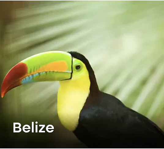 Belize