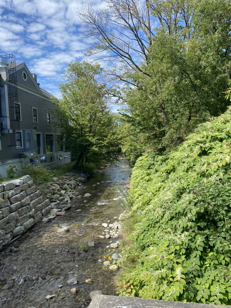 Beautiful Streams & Creeks